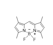 bodipy-505515